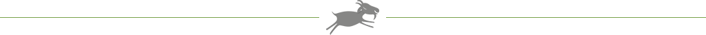 separatore